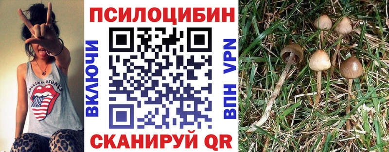 Псилоцибиновые грибы прущие грибы  Суоярви 