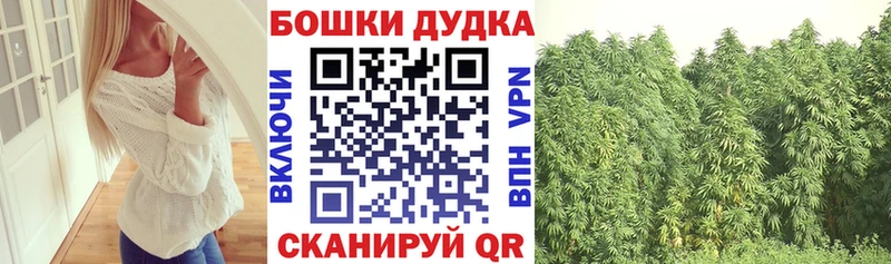 shop формула  кракен ССЫЛКА  Суоярви  Шишки марихуана семена 